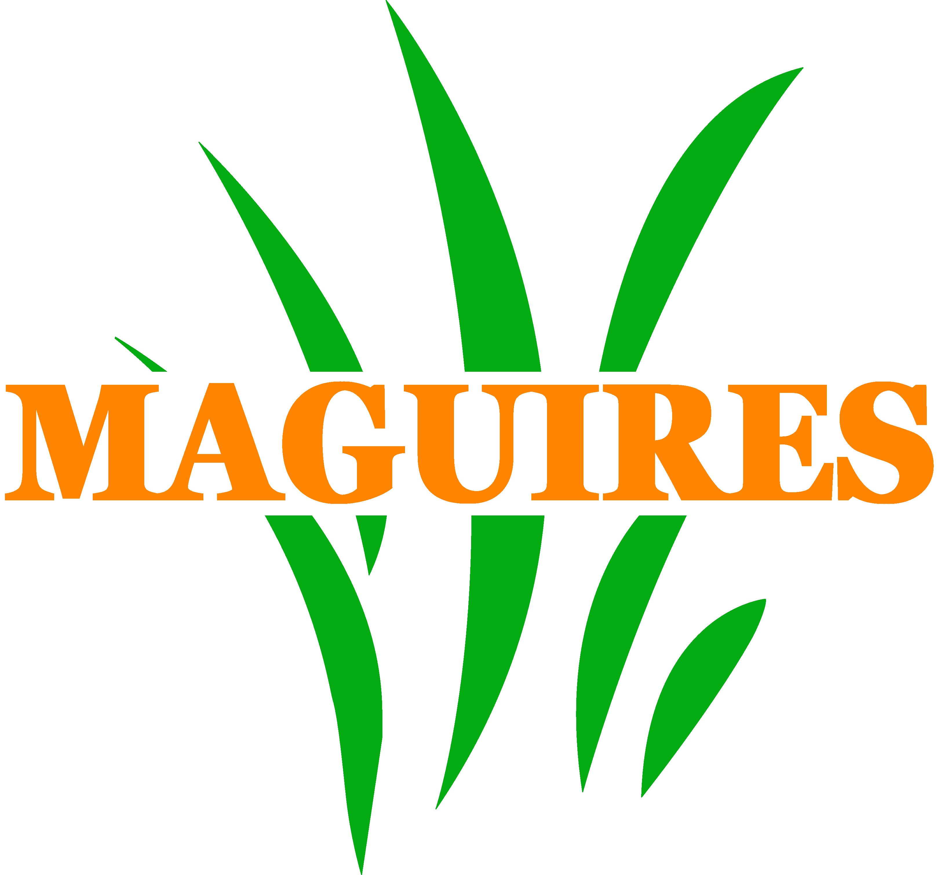 Maguires Logo